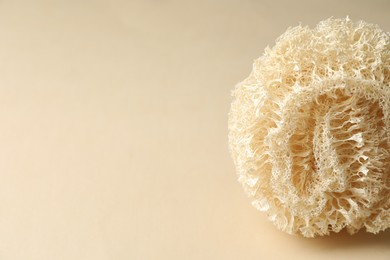 Photo of Natural shower loofah sponge on beige background, closeup. Space for text