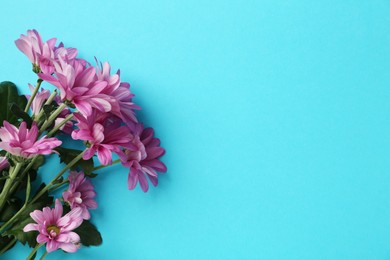 Photo of Beautiful chrysanthemum flowers on light blue background, top view. Space for text