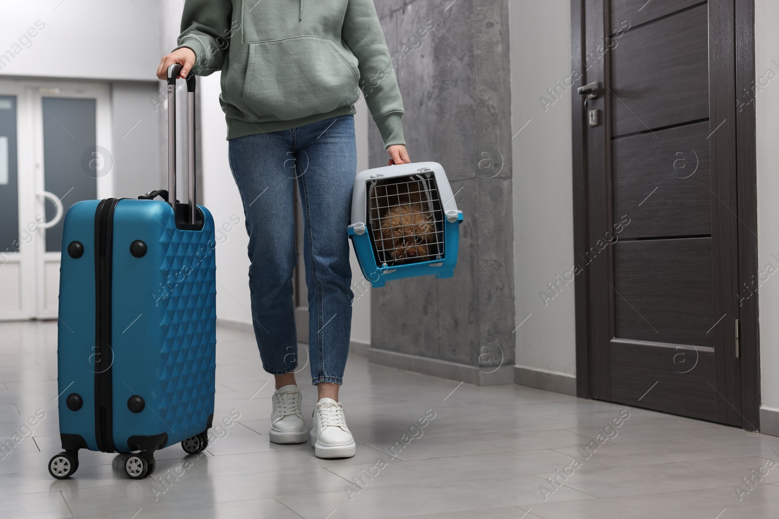 Photo of Travel with pet. Woman with suitcase holding carrier with dog in hall, closeup. Space for text