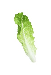 Photo of Fresh leaf of green romaine lettuce isolated on white