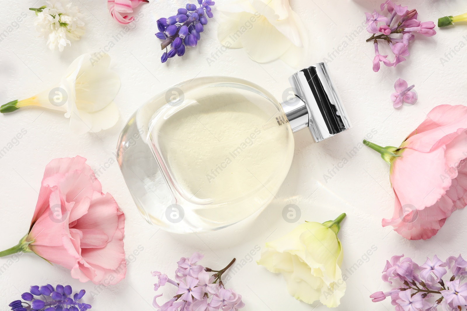 Photo of Luxury perfume and floral decor on white background, flat lay