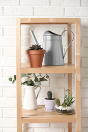Beautiful plants and watering pot on shelves at home