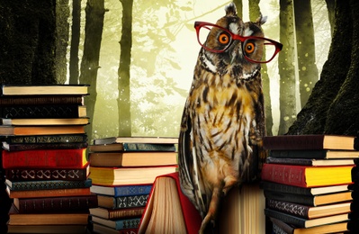 Image of Beautiful wise owl near books in fantasy world
