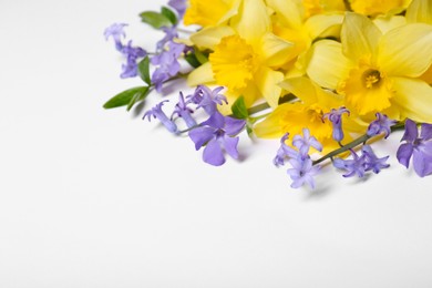 Photo of Beautiful yellow daffodils and periwinkle flowers on white background, space for text