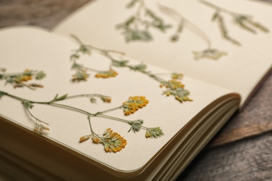 Wild dried meadow flowers in notebook on table, closeup