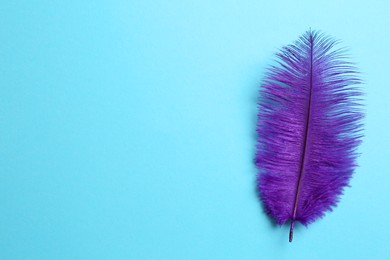 Beautiful violet feather on light blue background, top view. Space for text