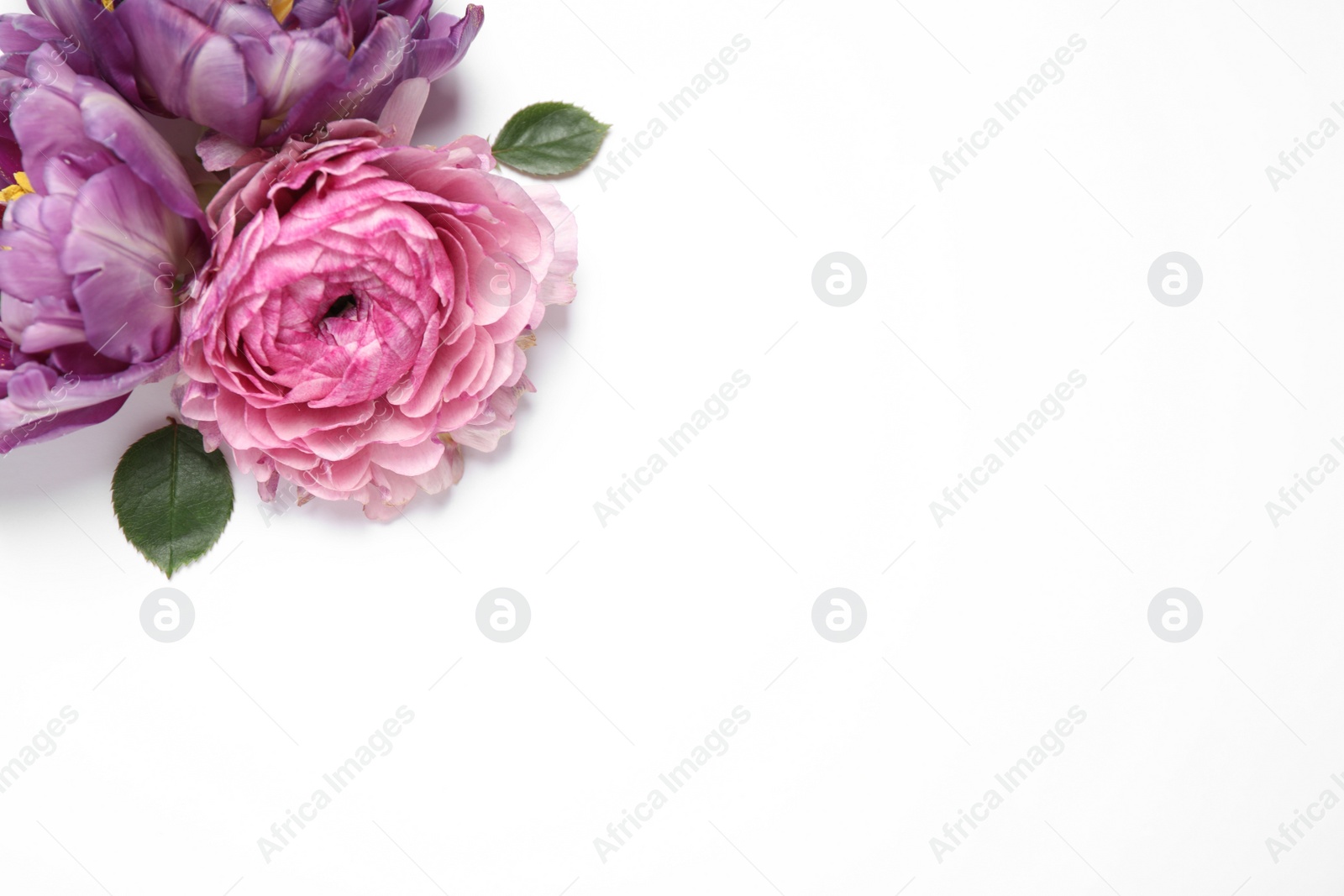 Photo of Beautiful floral composition with flowers on white background, flat lay. Space for text