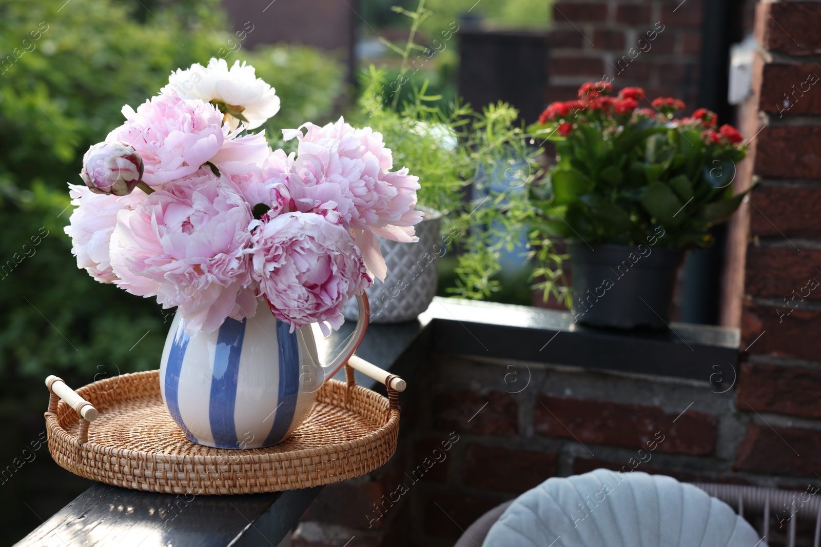 Photo of Balcony garden. Different plants growing on railings outdoors