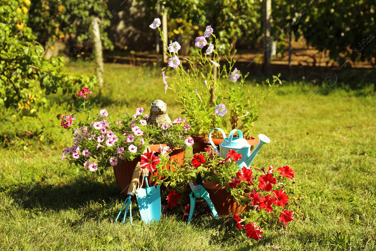 Photo of Set of gardening tools on grass outdoors