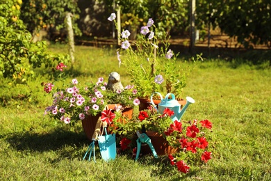 Photo of Set of gardening tools on grass outdoors