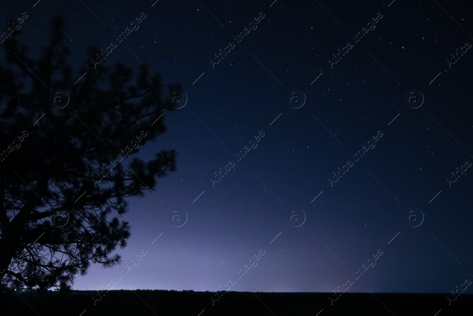 Photo of Beautiful landscape with starry sky at night