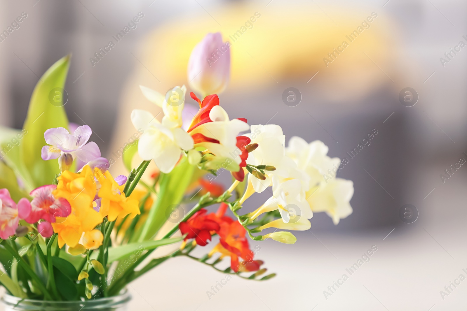 Photo of Beautiful bouquet of freesia flowers on blurred background