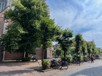 Photo of Beautiful view of parking with bicycles, trees and buildings outdoors on sunny day