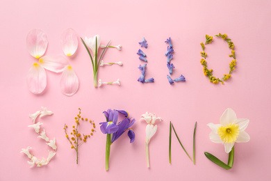 Photo of Words HELLO SPRING made of fresh flowers on pink background, flat lay