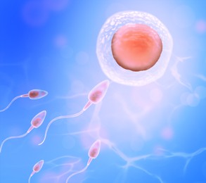 Fertilization process. Sperm cells moving to ovum on blue background