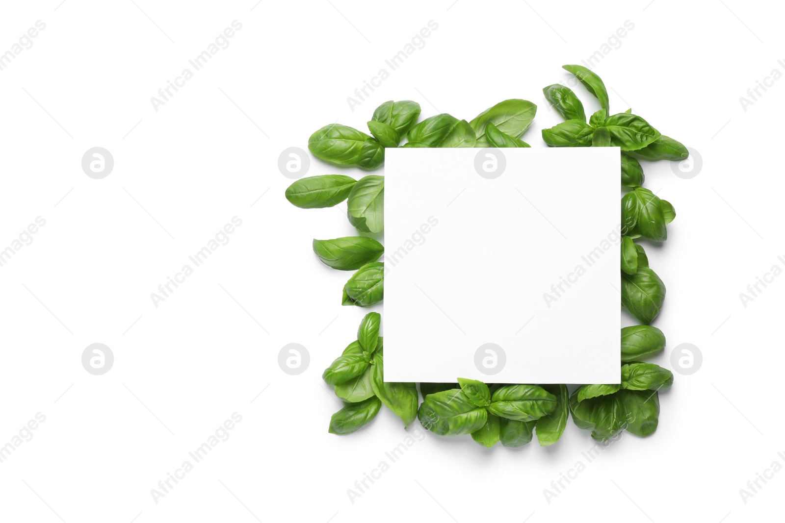 Photo of Green basil leaves and blank card on white background, top view. Space for text