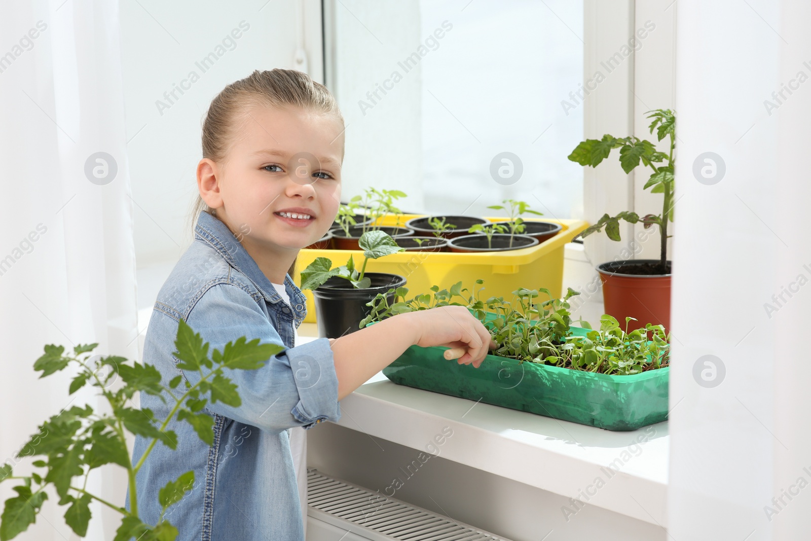 Photo of Cute little girl planting seedlings into plastic container on windowsill indoors