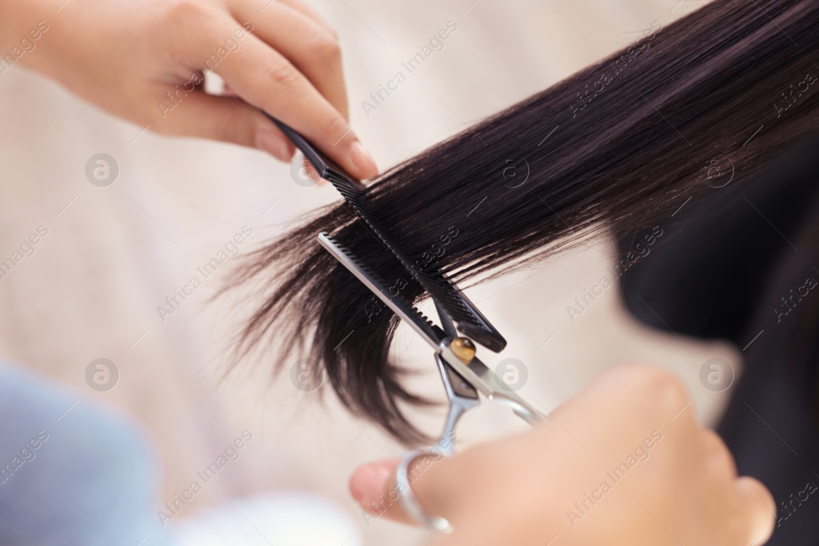 Photo of Professional hairdresser cutting woman's hair in beauty salon, closeup