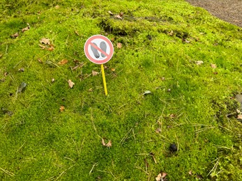 Photo of Bright moss and sign Do Not Walk on ground outdoors