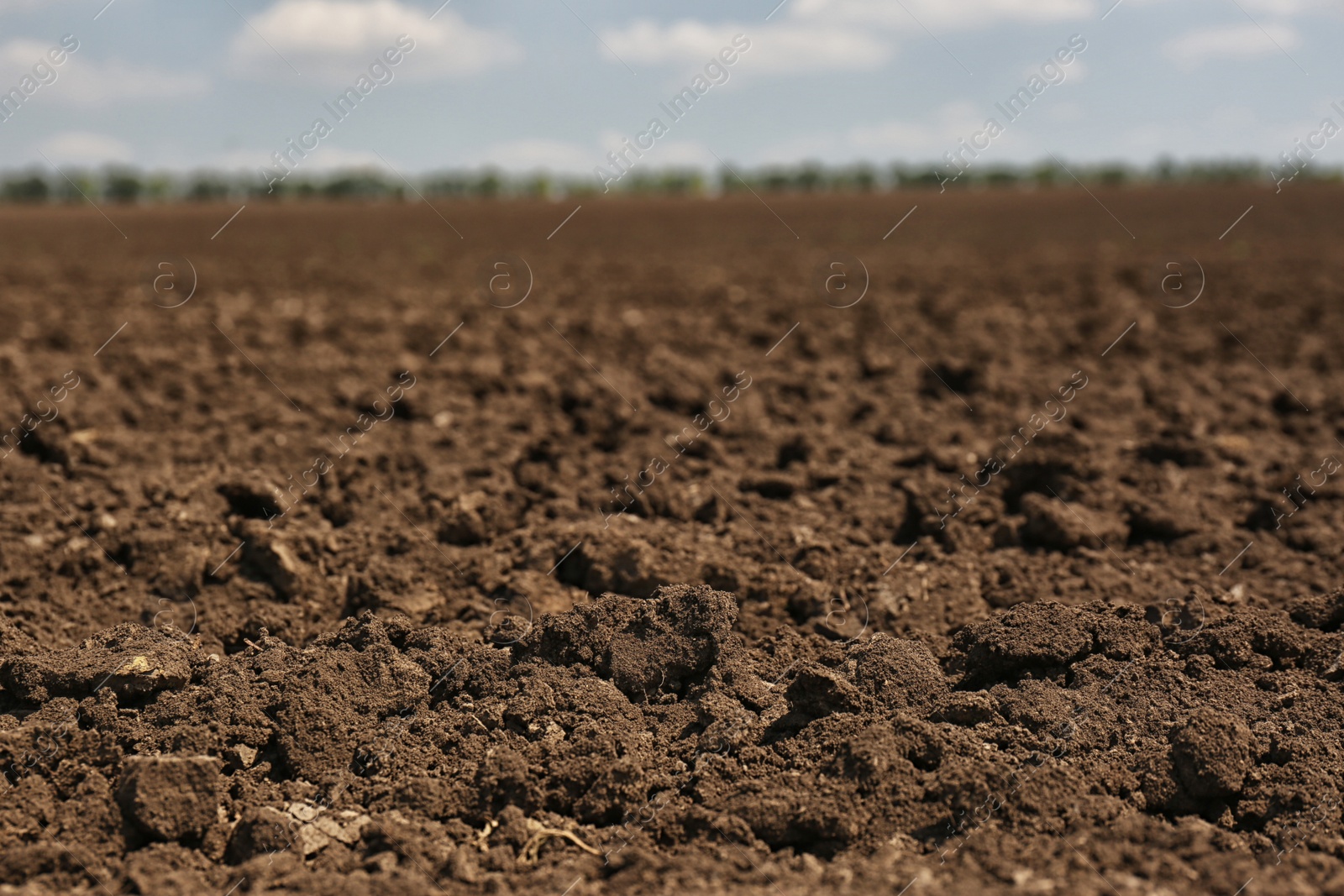 Photo of View of fertile ground surface on sunny day