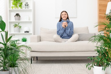 Photo of Beautiful young woman with cup of drink on sofa in room with green houseplants