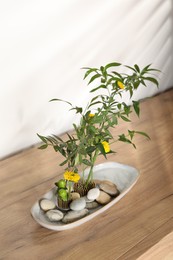 Ikebana art. Beautiful yellow flowers and green branches on wooden table, above view