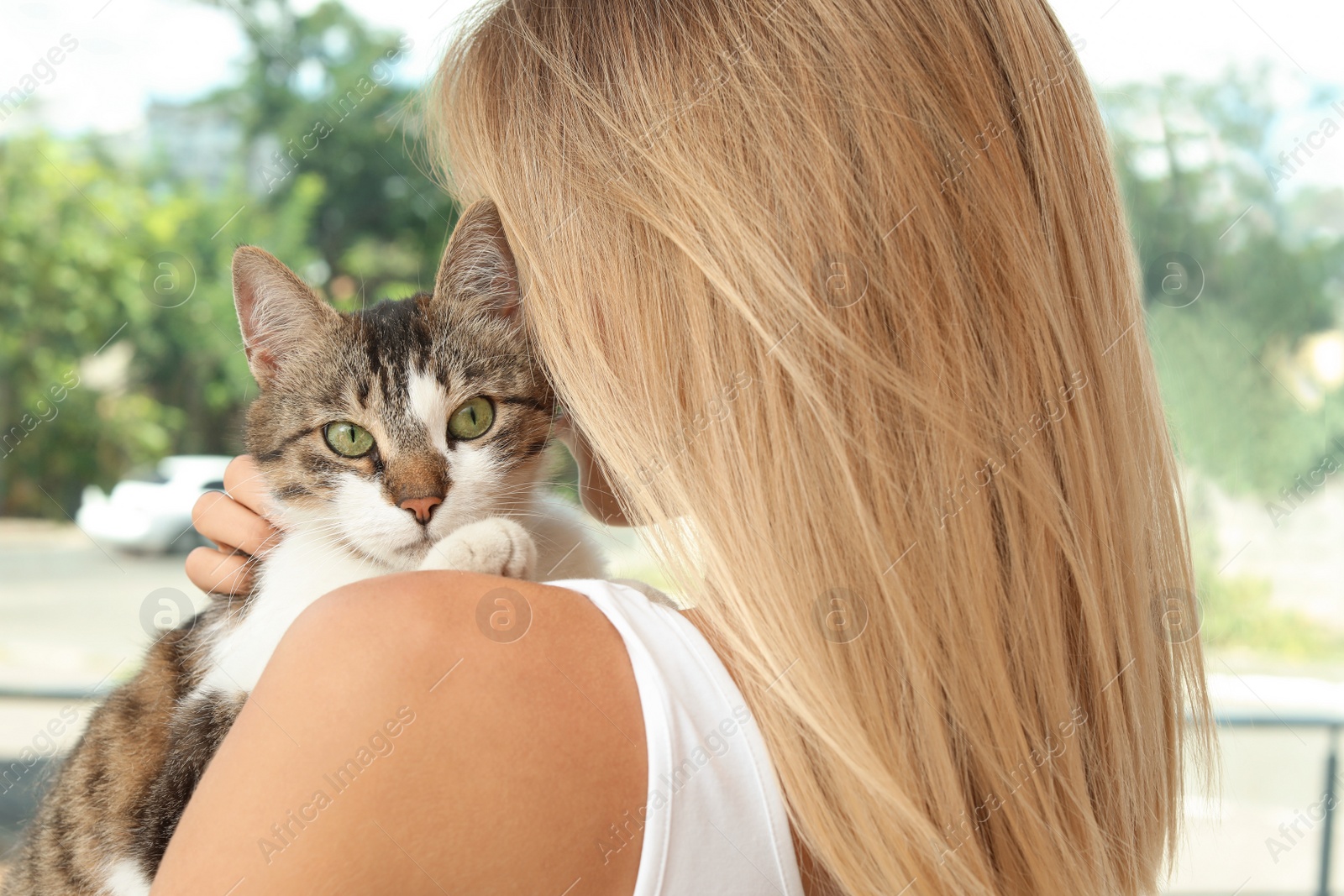 Photo of Young woman holding cute cat near window at home