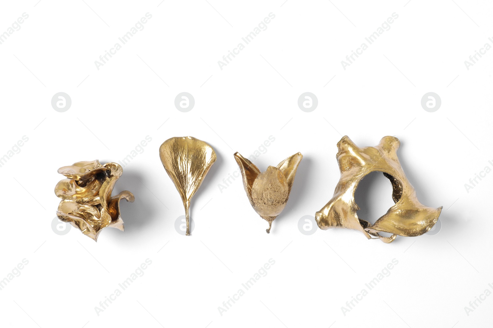 Photo of Different golden dry flowers on white background, flat lay