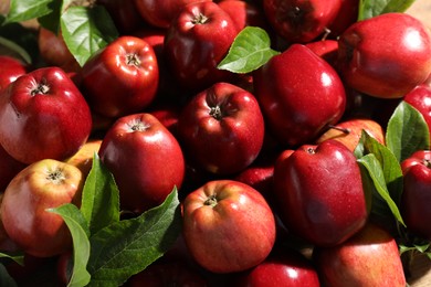 Photo of Fresh ripe red apples with leaves as background, closeup