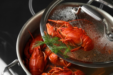 Photo of Fresh delicious crayfish over pot, closeup view