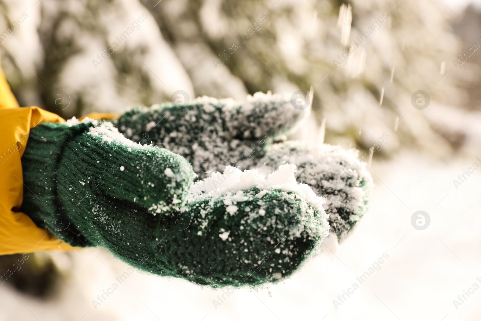 Photo of Woman playing with snow outdoors, closeup. Winter vacation