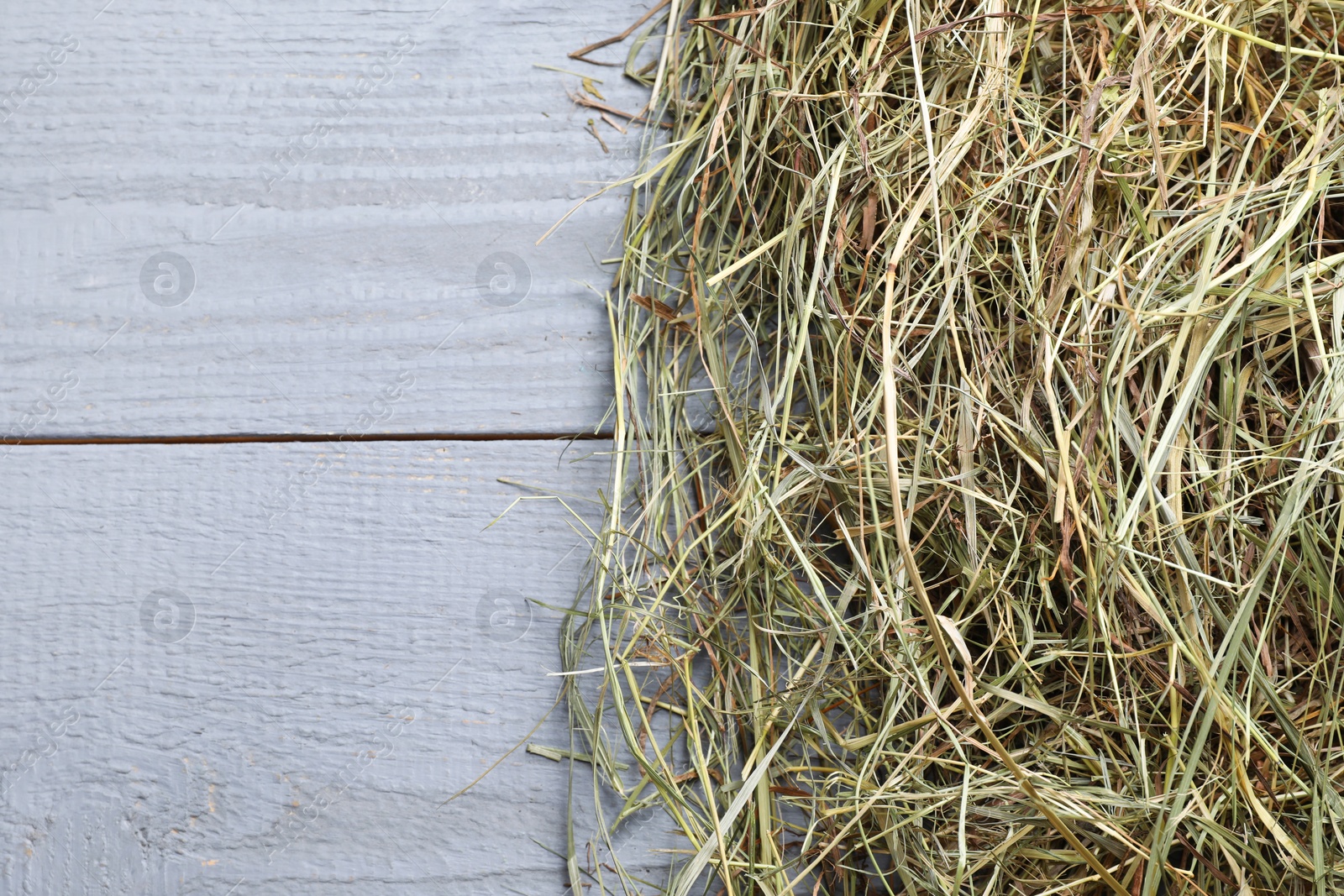 Photo of Heap of dried hay on grey wooden table, top view. Space for text