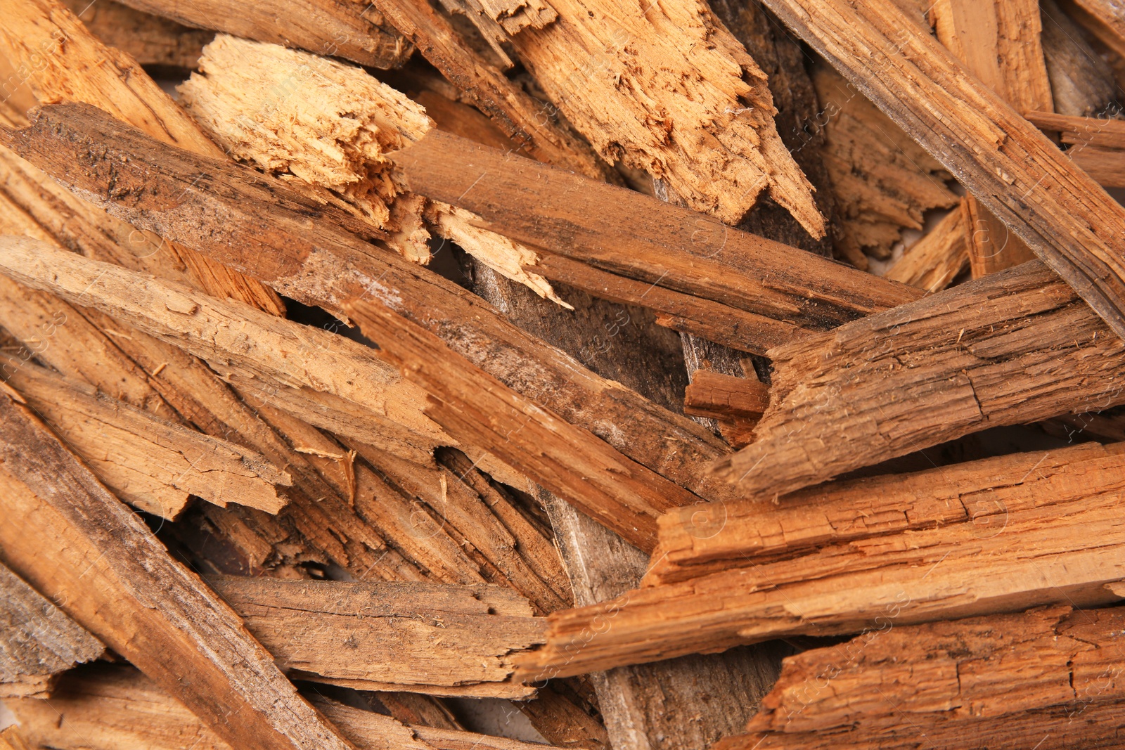 Photo of Many wood chips as background, closeup view