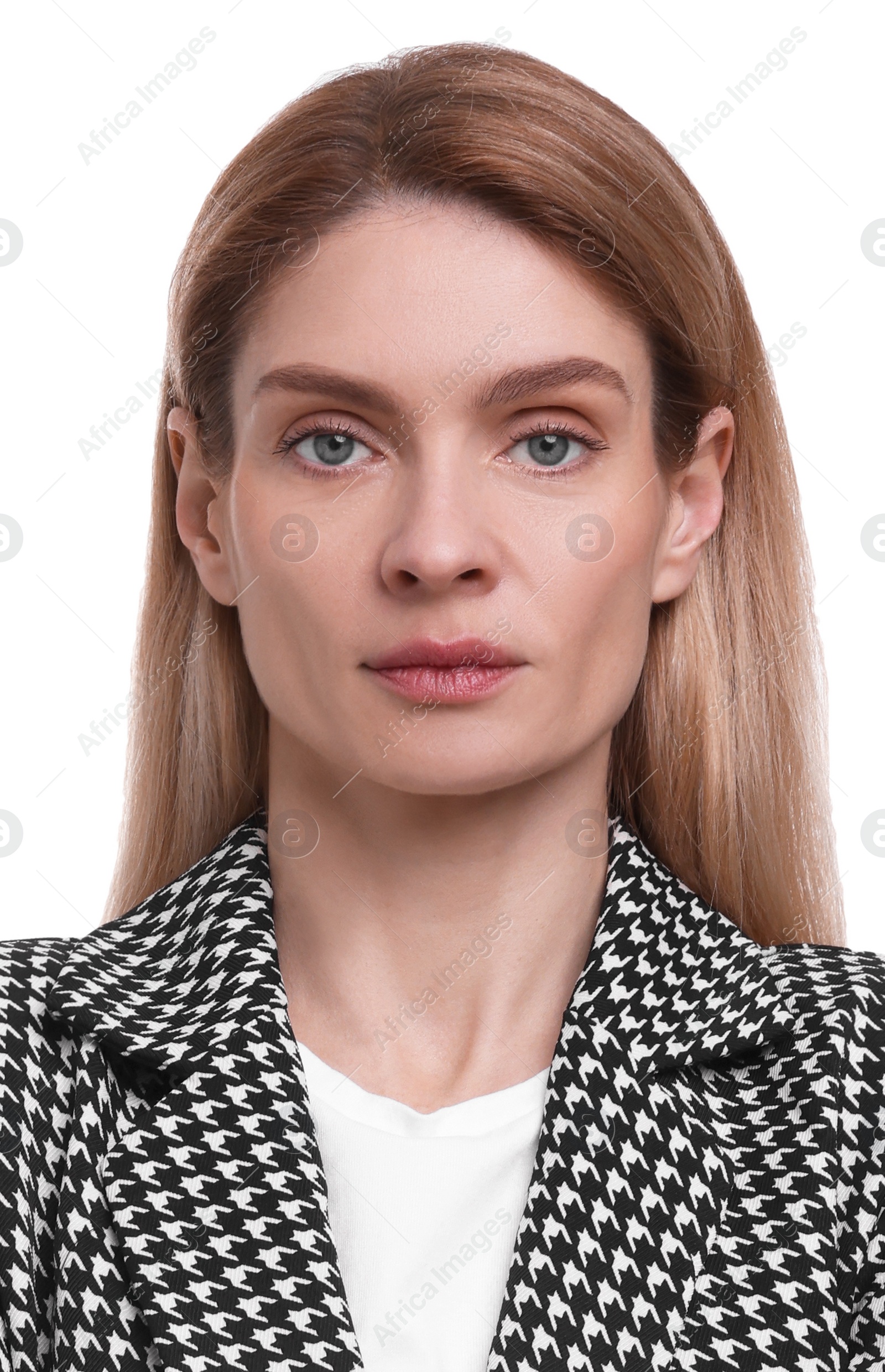 Image of Passport photo. Portrait of woman on white background