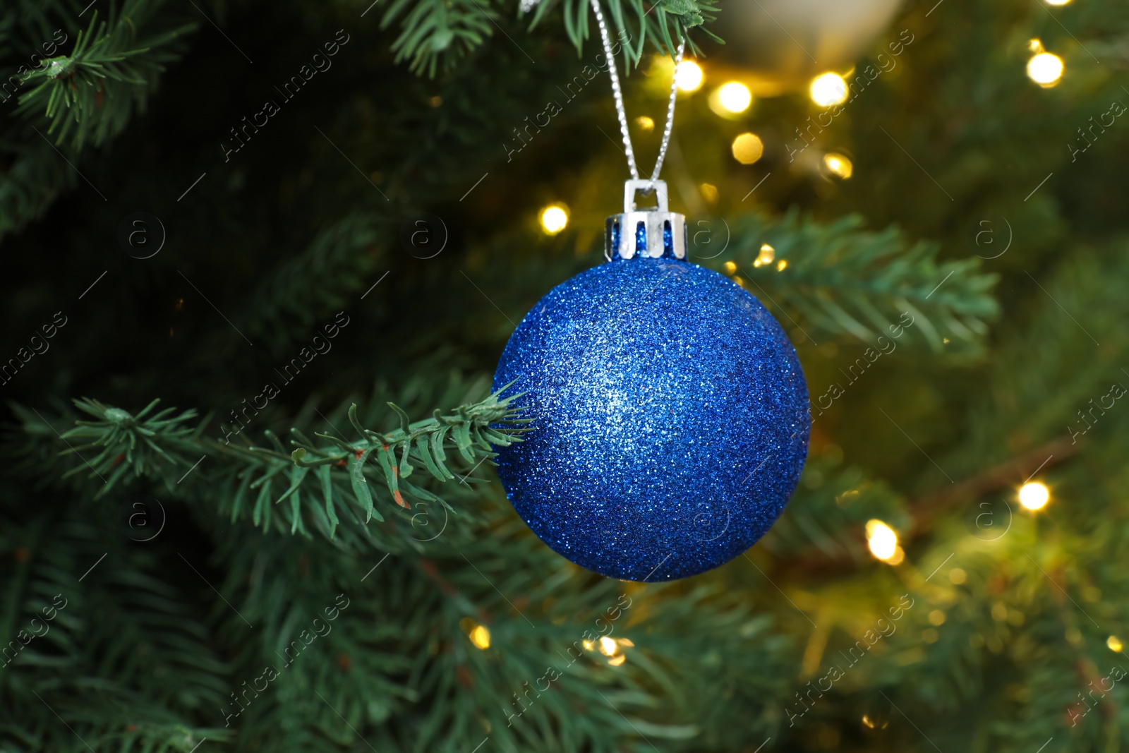 Photo of Beautiful blue Christmas ball hanging on fir tree branch, closeup