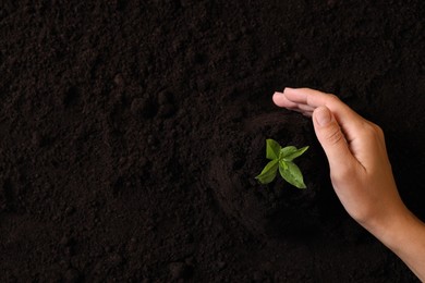Photo of Woman protecting young seedling in soil, top view with space for text. Planting tree