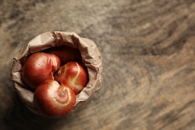 Paper bag with tulip bulbs on wooden table, top view. Space for text