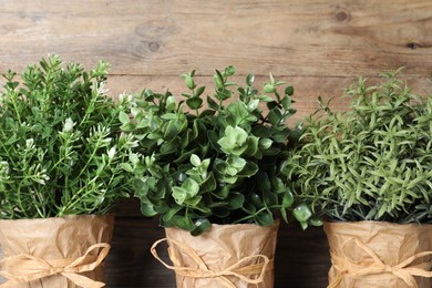 Different aromatic potted herbs against wooden background