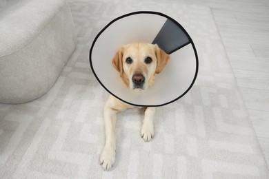 Photo of Cute Labrador Retriever with protective cone collar on floor in room, above view