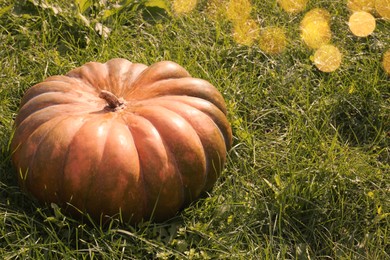 Photo of Ripe pumpkin on green grass, space for text. Autumn harvest