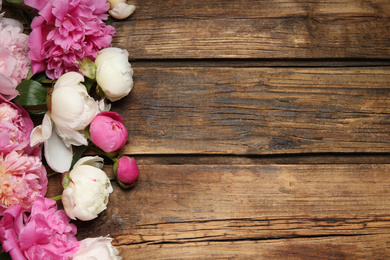 Beautiful peonies on wooden background, flat lay. Space for text