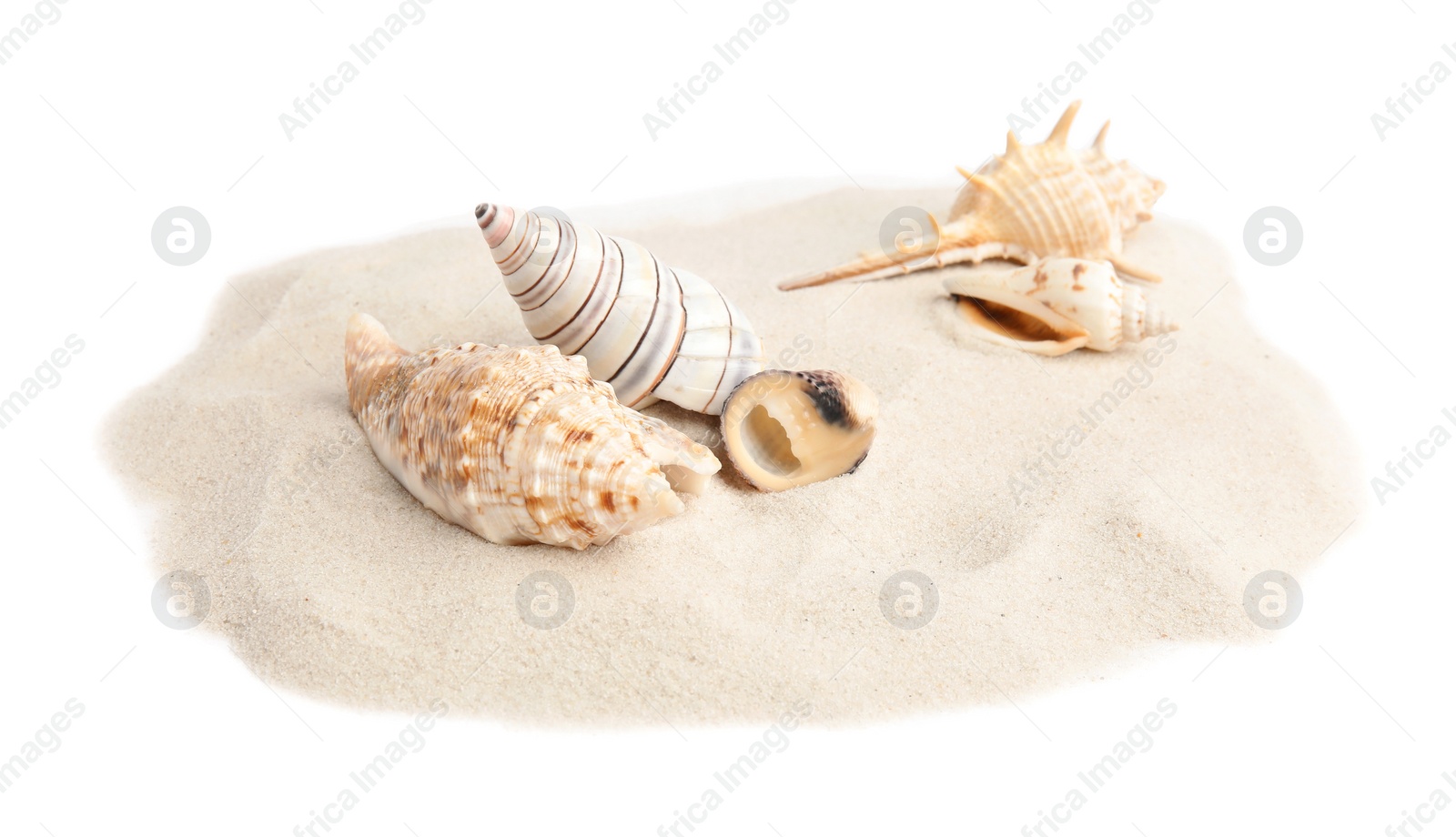 Photo of Pile of beach sand with sea shells on white background