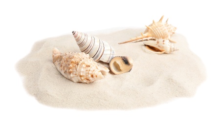 Photo of Pile of beach sand with sea shells on white background