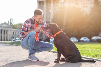 Photo of Cute brown labrador retriever with owner outdoors