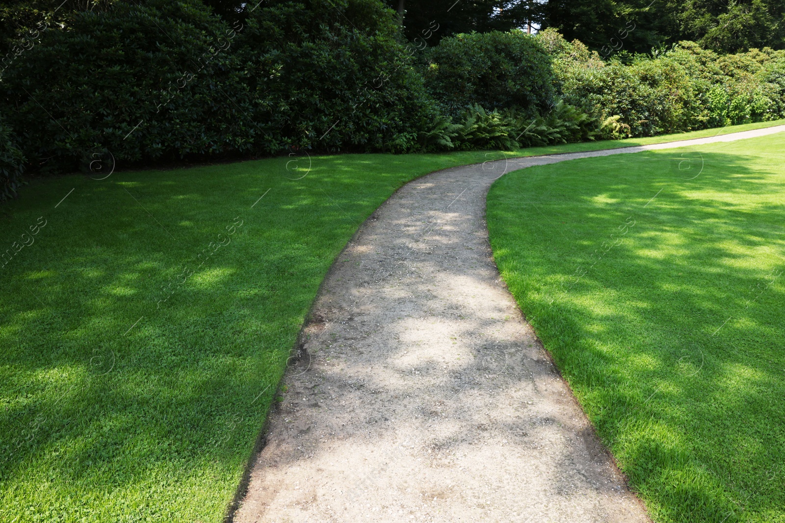 Photo of Beautiful green grass and pathway in park on sunny day