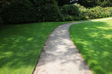 Beautiful green grass and pathway in park on sunny day