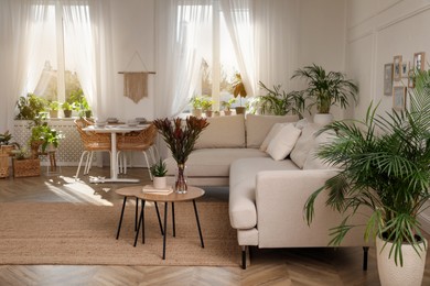 Photo of Stylish room interior with comfortable sofa and beautiful houseplants