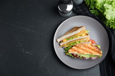 Plate with tasty sandwiches on black table, flat lay. Space for text