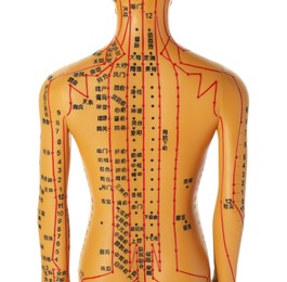 Photo of Acupuncture model. Mannequin with dots and lines isolated on white, back view