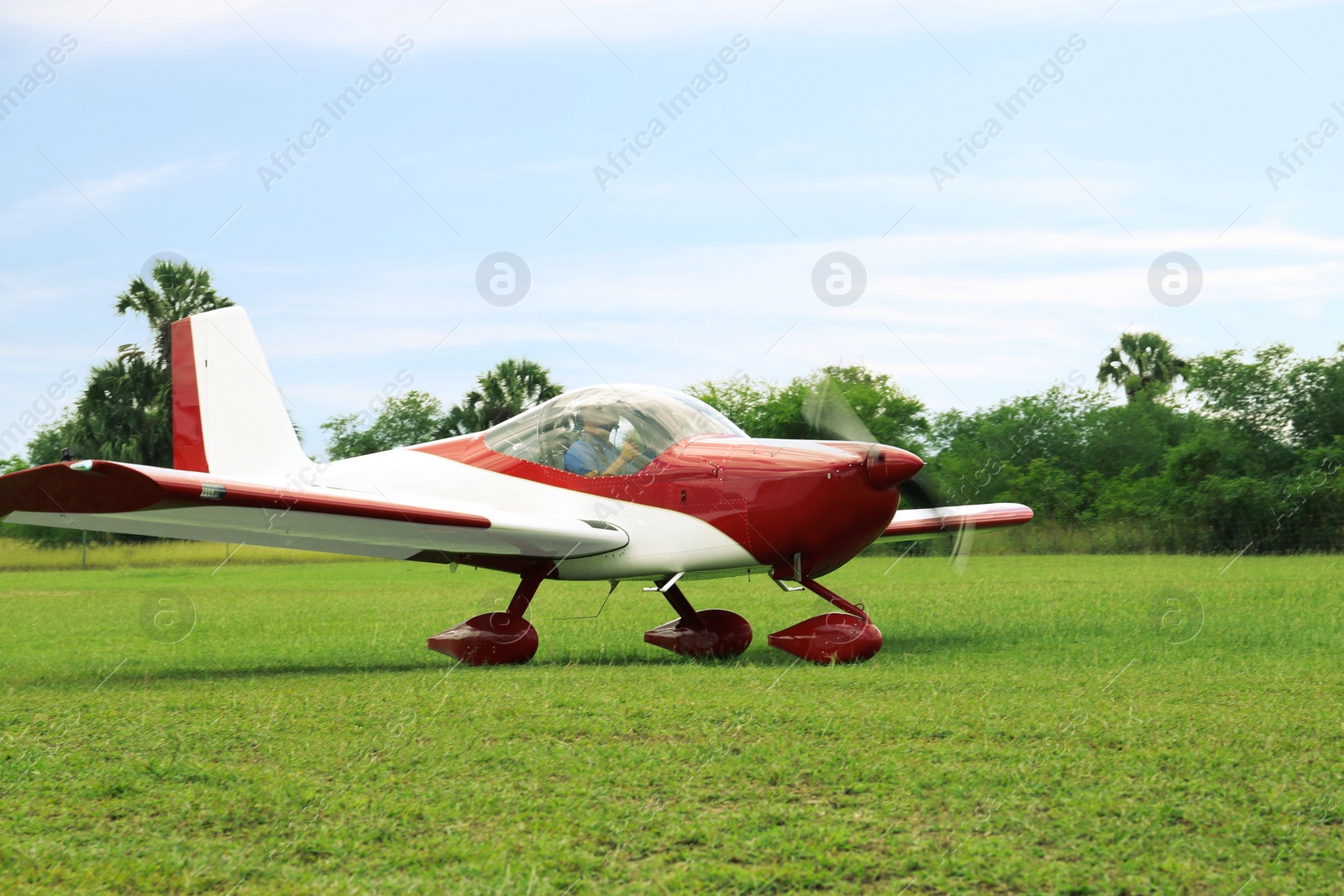 Photo of Ultralight aircraft on green grass near trees